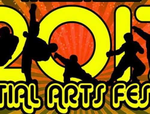 WCA Martial Arts Festival 2017